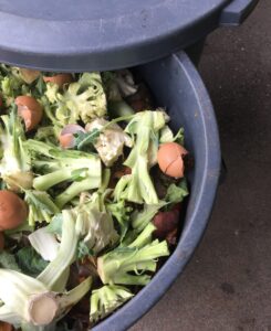 Img 0109 Scaled E1774550454773 - Bluff Country Co-Op