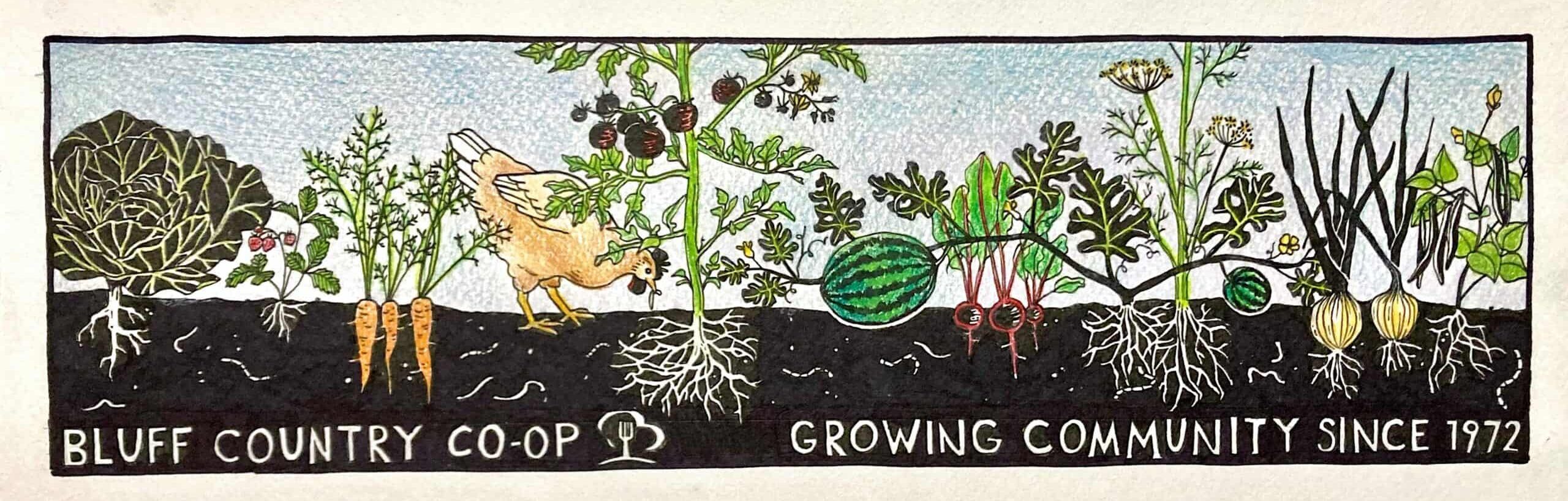 Option 2 Scaled E1649271794201 - Bluff Country Co-Op