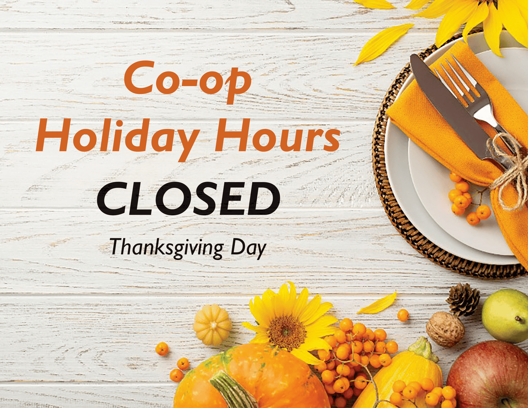 Turkey day web