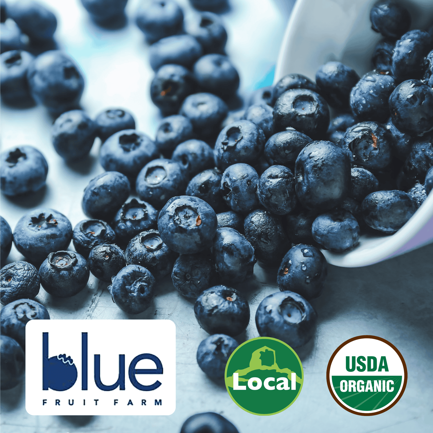 Blueberries Web - Bluff Country Co-Op